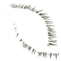 BD_M_5650[_fur]_a_l.png